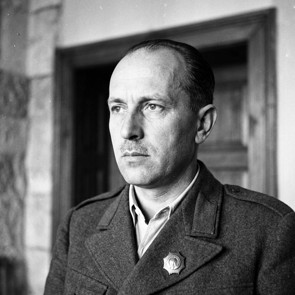 Dimitrije Ljotić